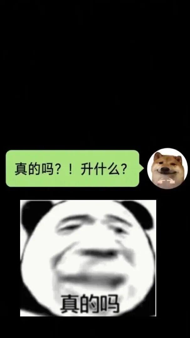 做了个微信聊天爆款视频 Skill, Codex / WorkBuddy一键复刻使用
